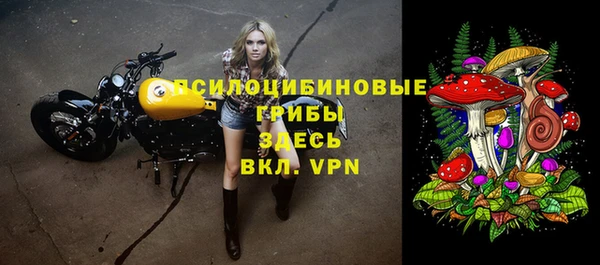 сатива Алексин